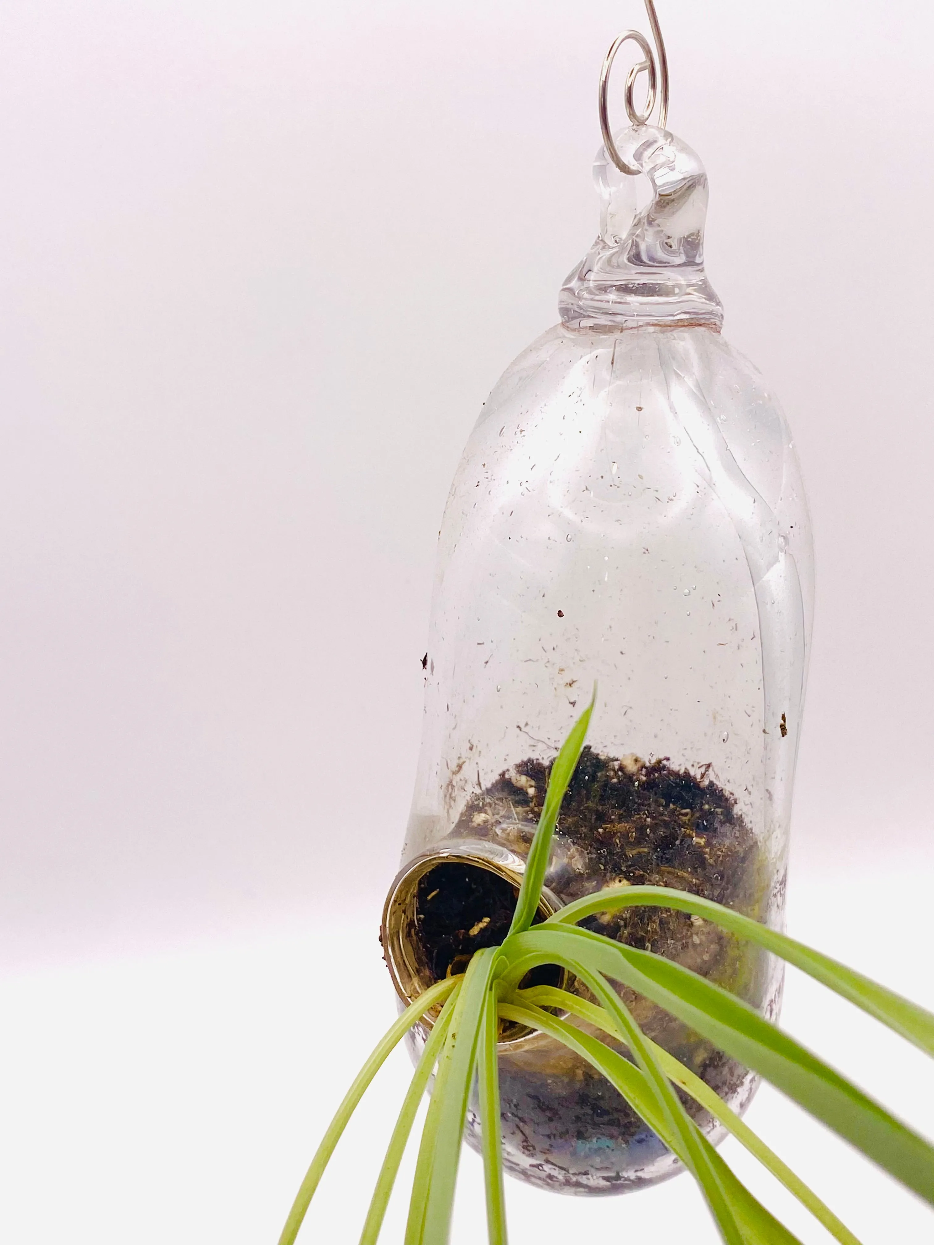 Terrarium