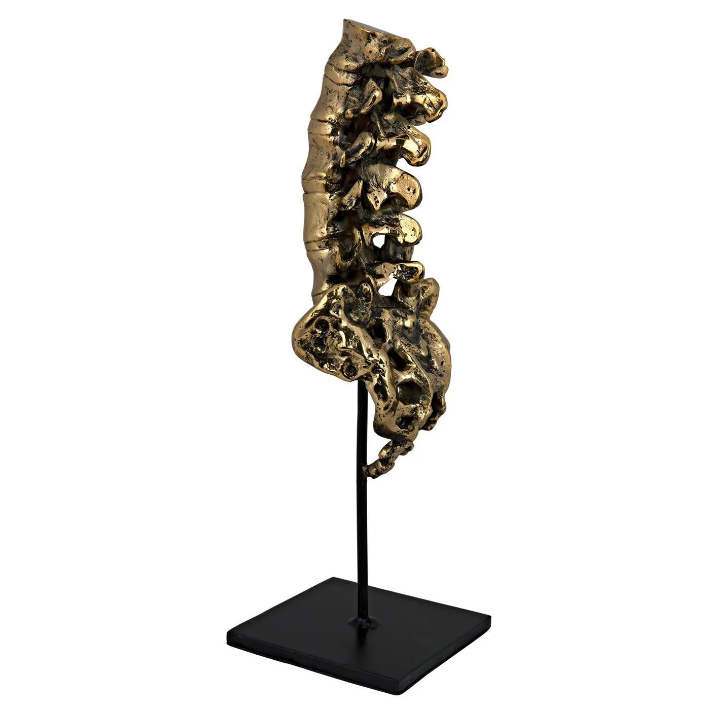 Vertebrae, Brass and Steel