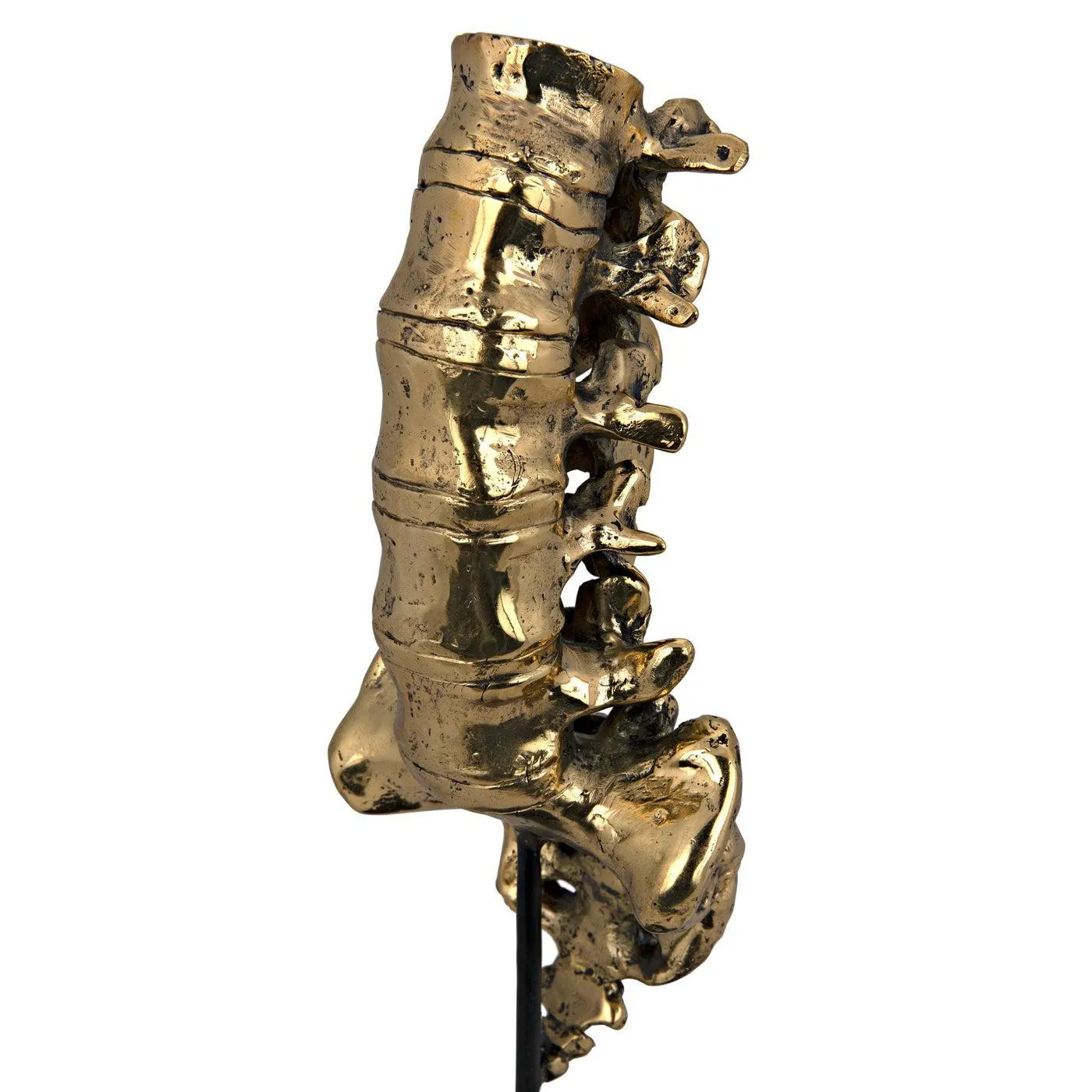 Vertebrae, Brass and Steel