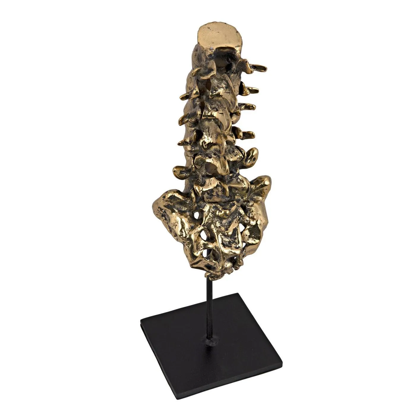 Vertebrae, Brass and Steel