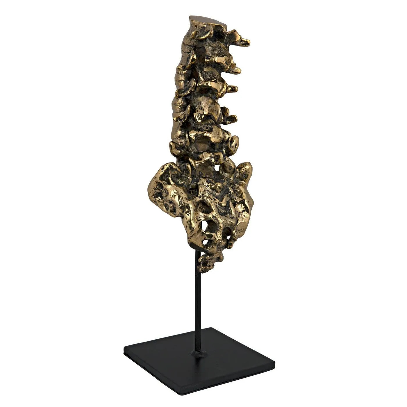 Vertebrae, Brass and Steel