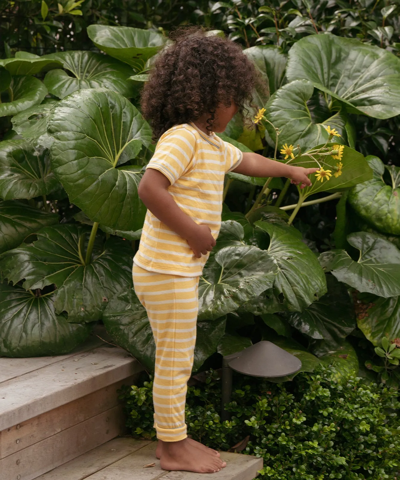 Willie Baby T-Shirt, Yellow Stripe