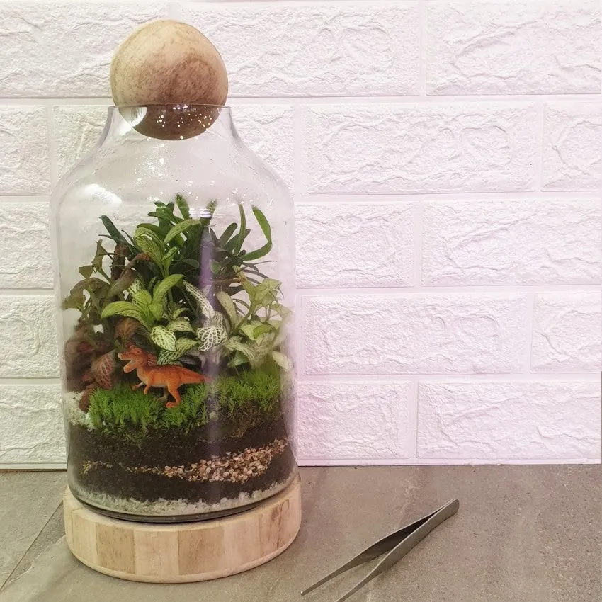 Wood Ball Terrarium