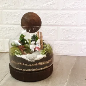 Wood Ball Terrarium