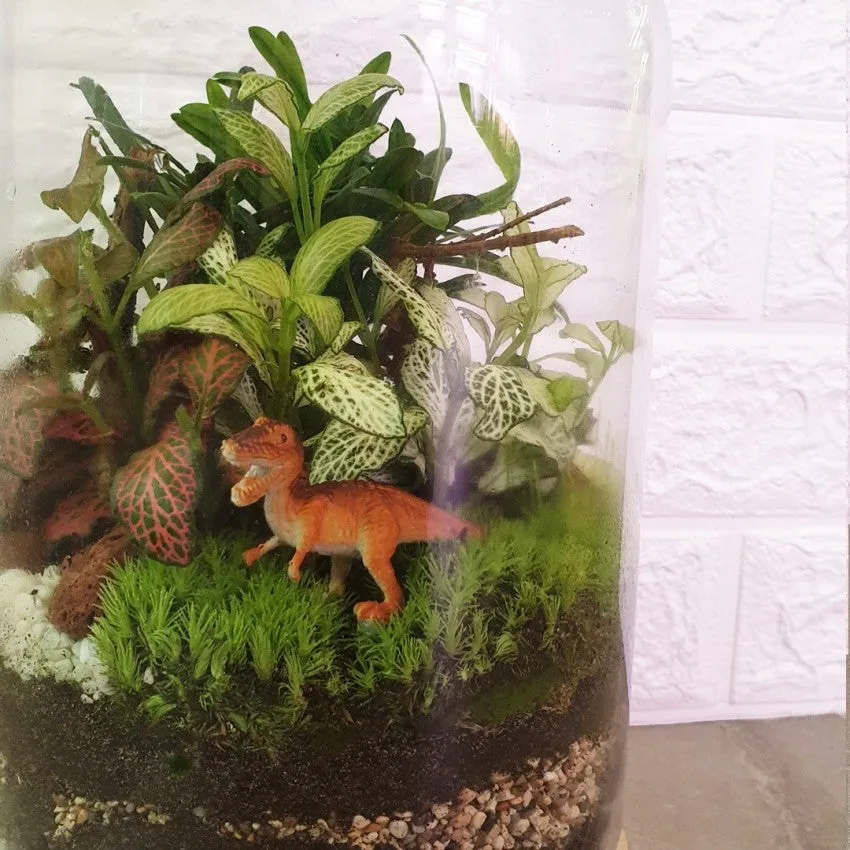 Wood Ball Terrarium